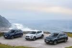 Seat Tarraco 2019 года (WW)